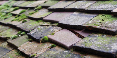 Arborfield And Newland roof repair costs